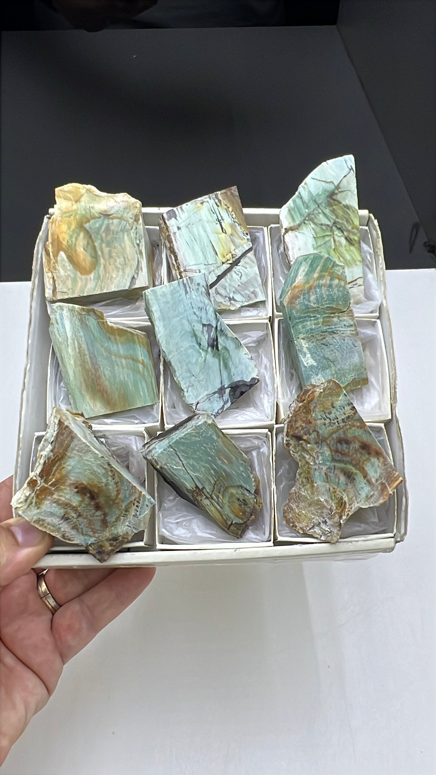 Blue Petrified Wood Lot 9 pieces