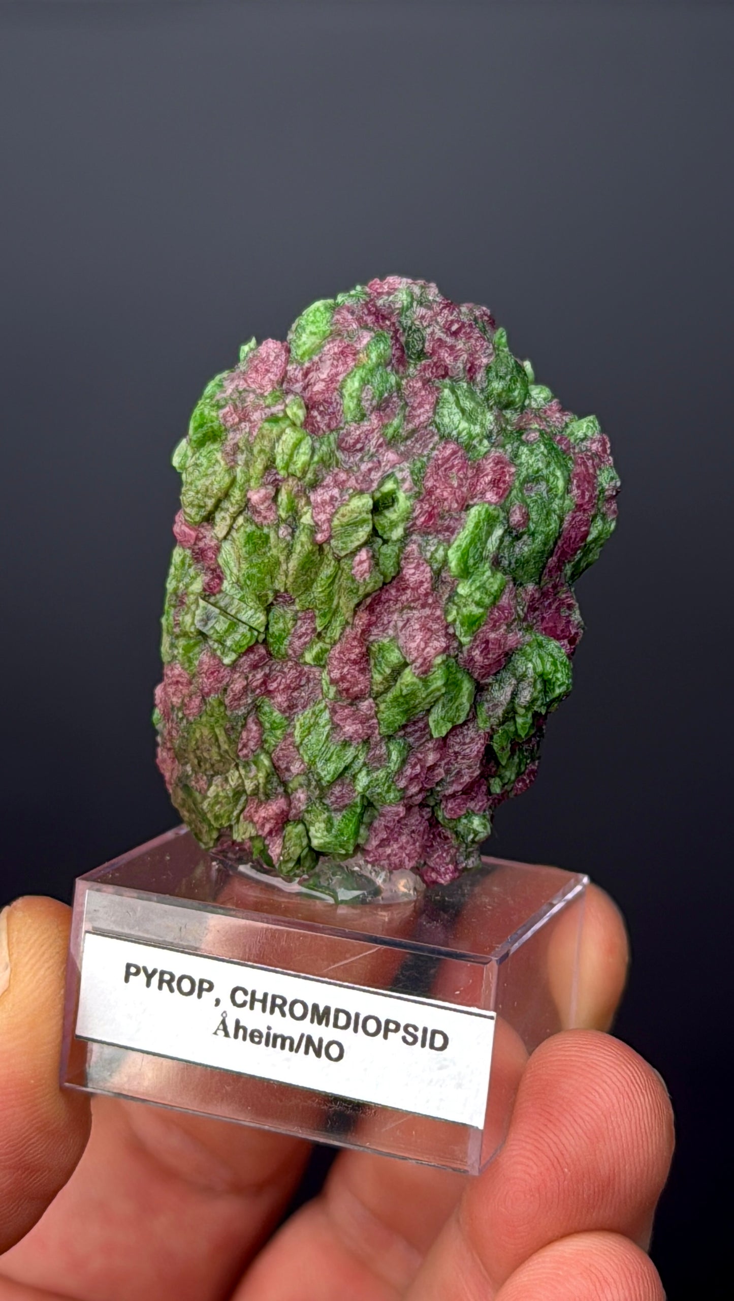 Pyrope Garnet with Chrom Diopsite Specimen Lot