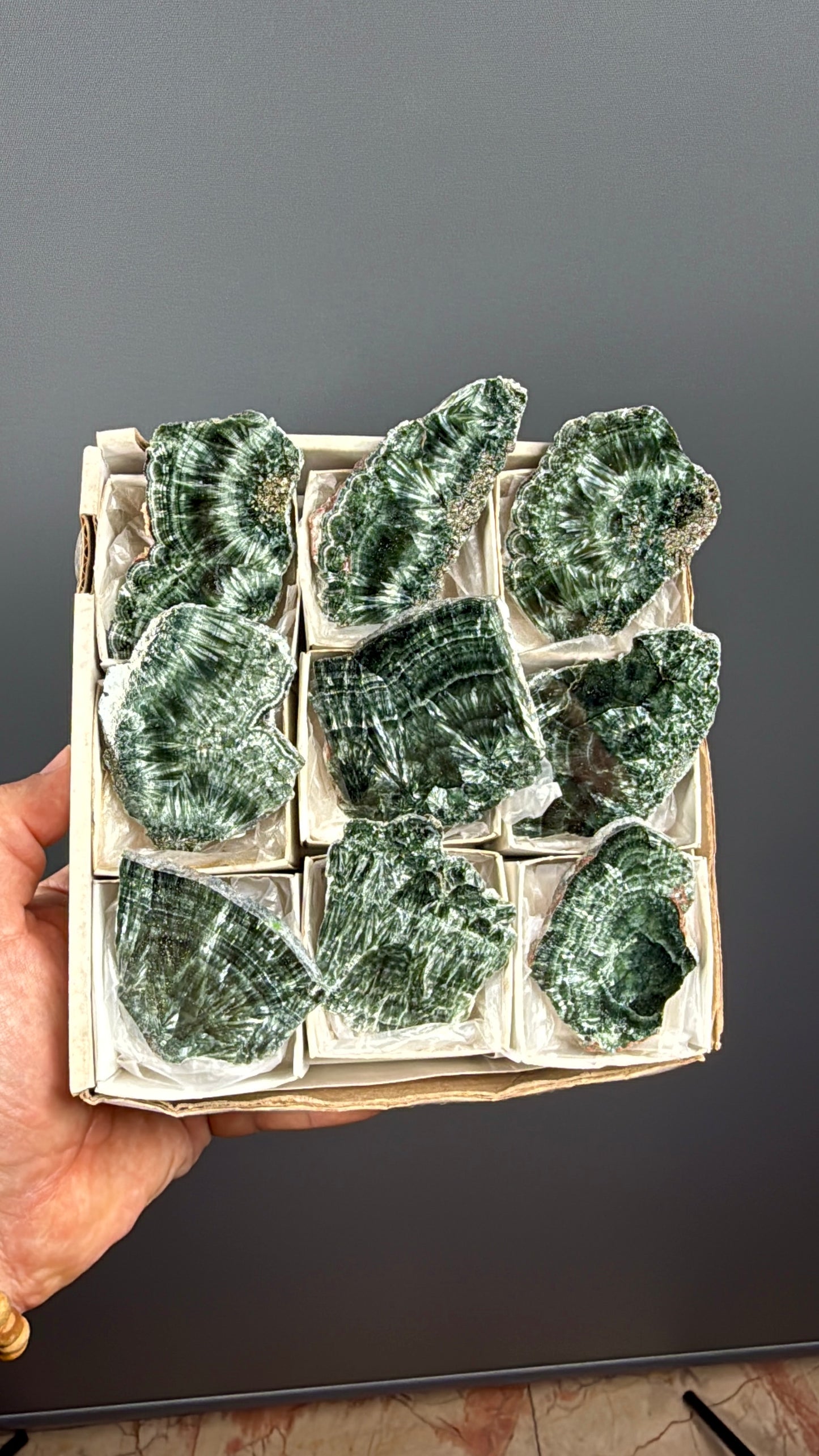 Forest Green Seraphinite Slab Lot