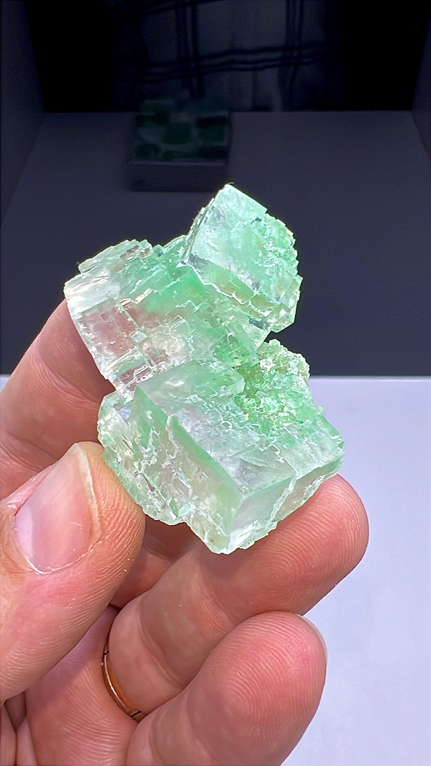 Green Halite Crystal Lot