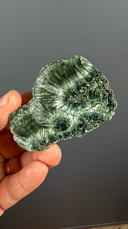 Forest Green Seraphinite Slab Lot