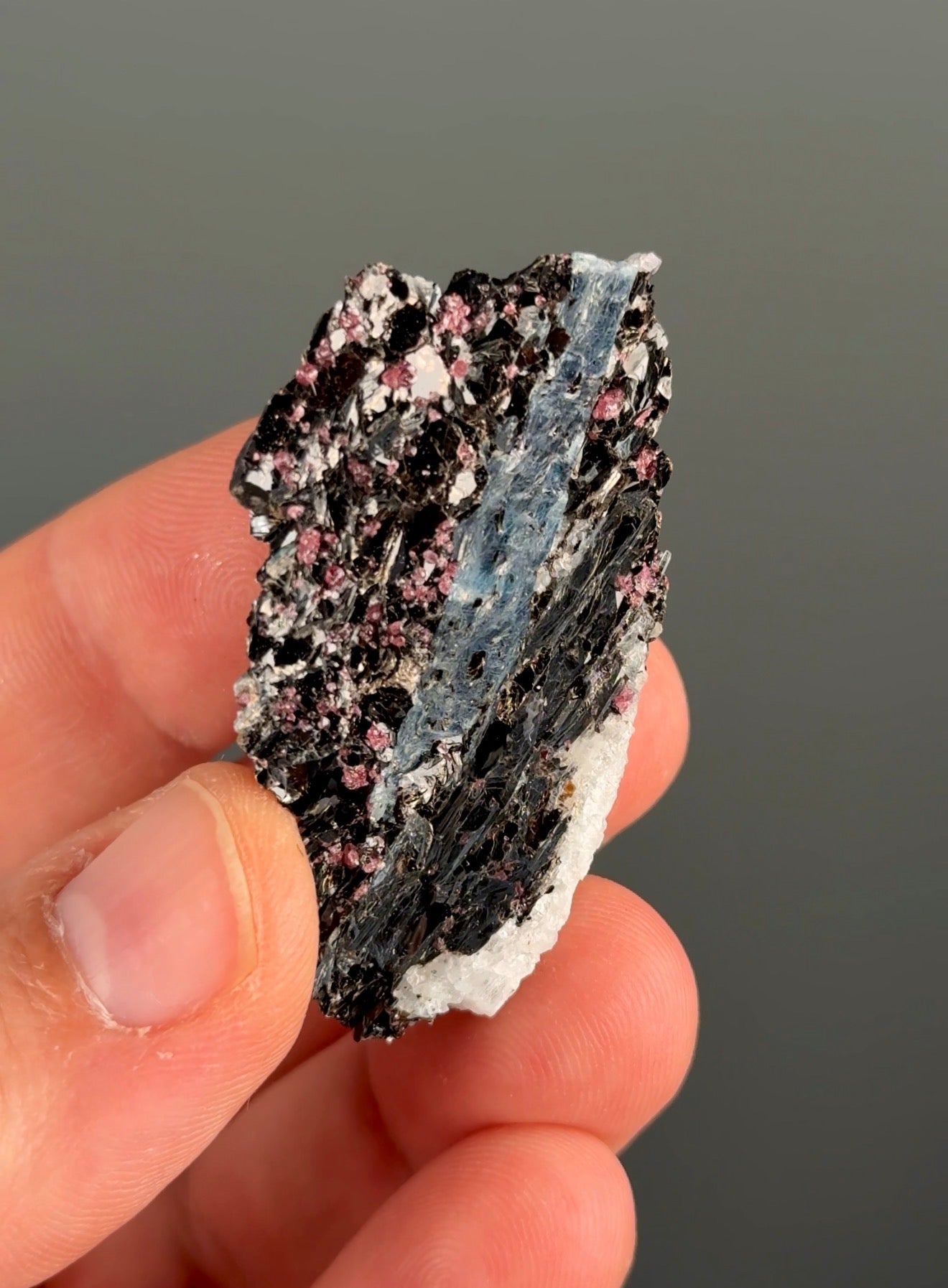 Kyanite with garnet, albite, biotite and Quartz Specimen Lot