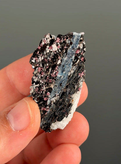 Kyanite with garnet, albite, biotite and Quartz Specimen Lot