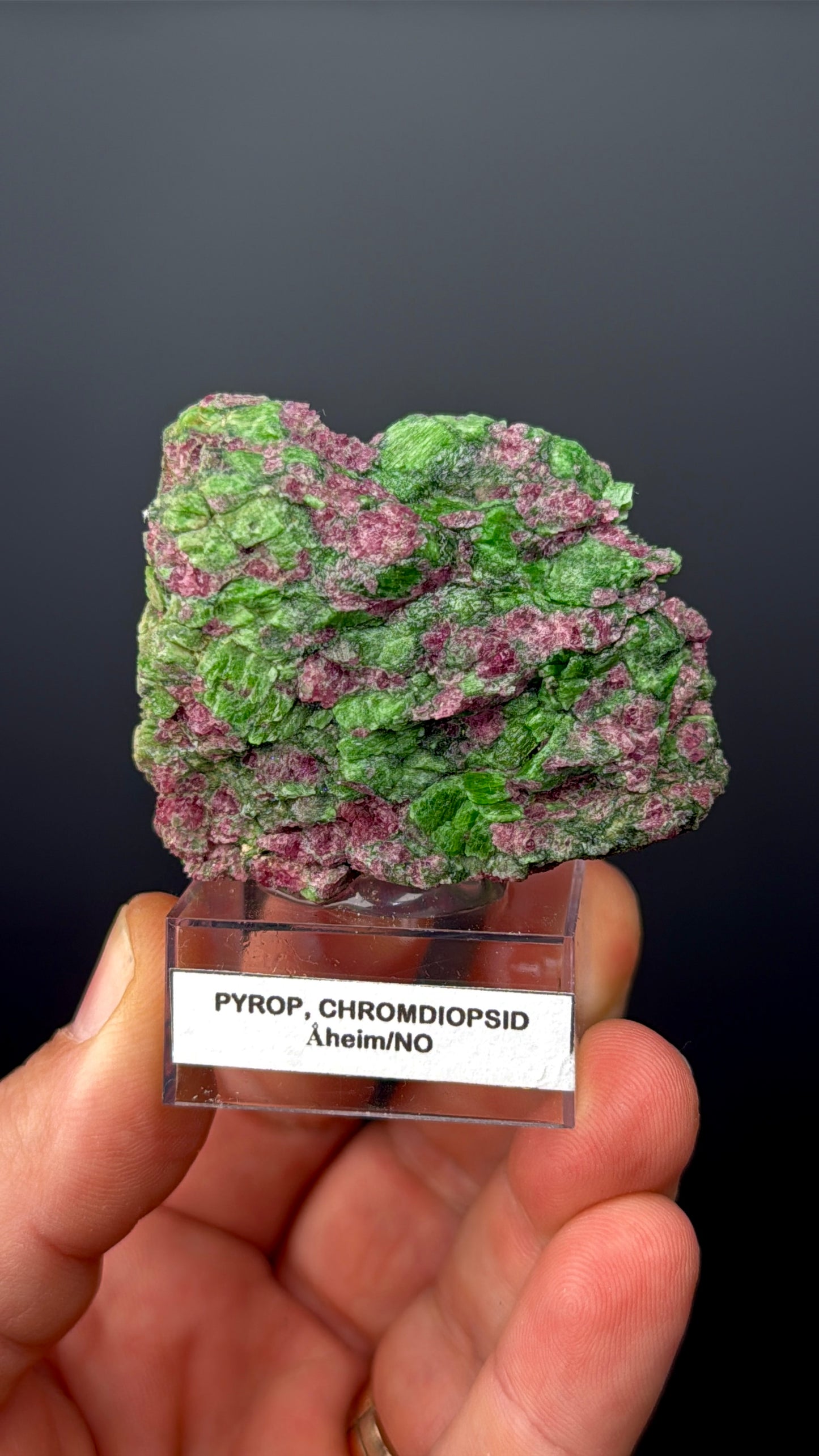 Pyrope Garnet with Chrom Diopsite Specimen Lot