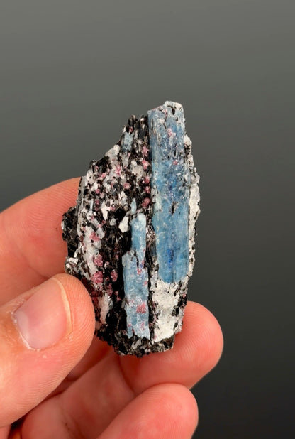 Kyanite with garnet, albite, biotite and Quartz Specimen Lot