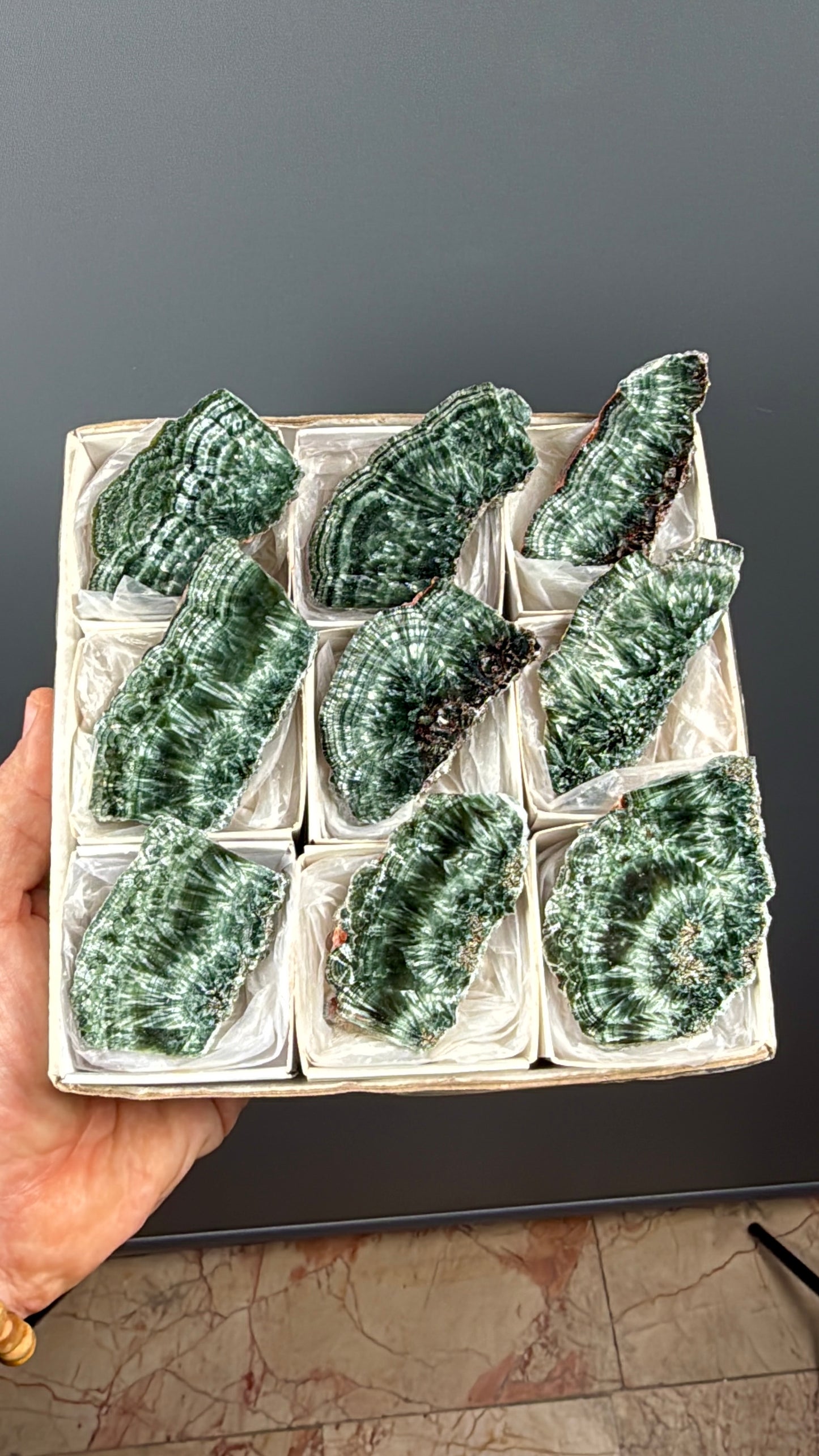 Forest Green Seraphinite Slab Lot