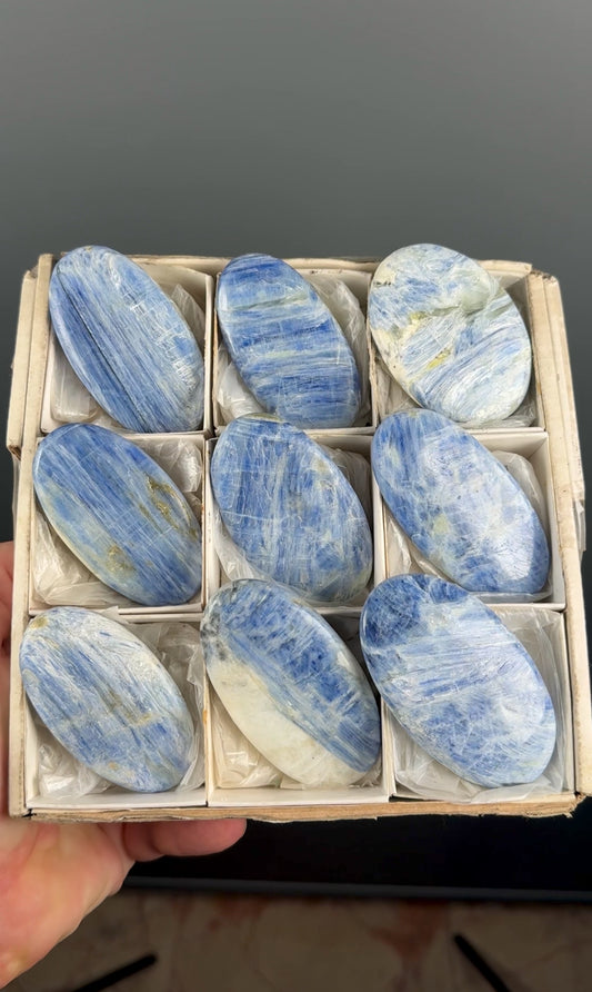 Blue Kyanite Crystal Palm Stone Lot