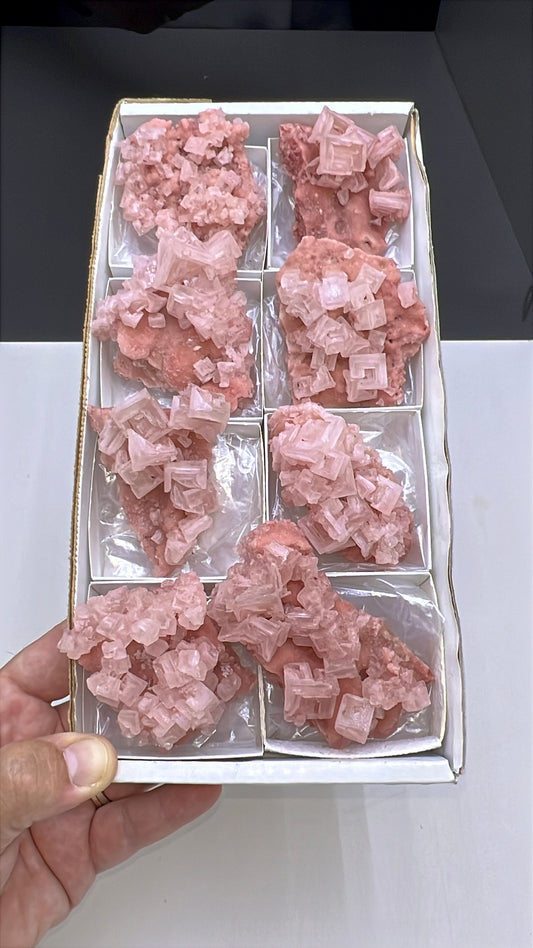 Pink Halite Crystal - 8 Pieces Lot