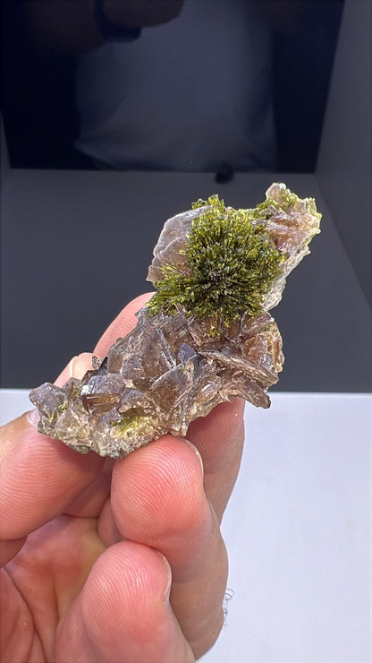 Axinite with Epidote Specimen