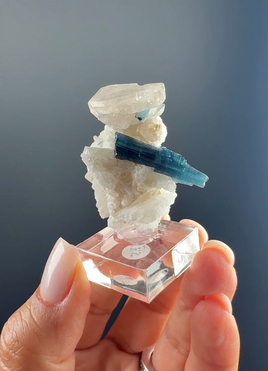 Blue Tourmaline Crystal on Quartz