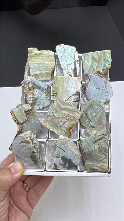 Blue Petrified Wood Lot 12 pieces