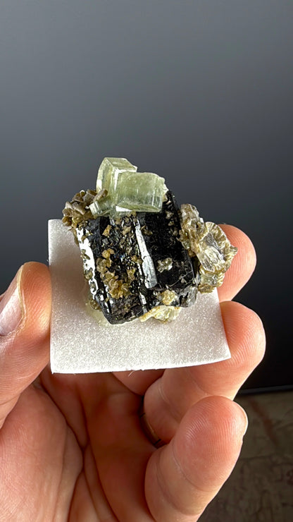 Green Apatite with Muscovite Lot