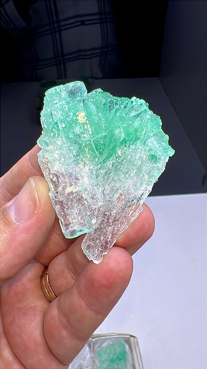 Green Halite Crystal Lot