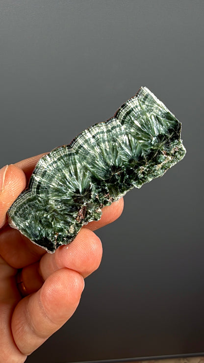 Forest Green Seraphinite Slab Lot