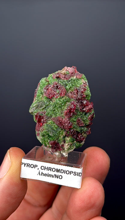 Pyrope Garnet with Chrom Diopsite Specimen Lot