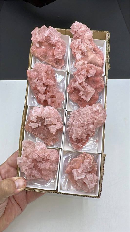 Pink Halite Crystal - 8 Pieces Lot