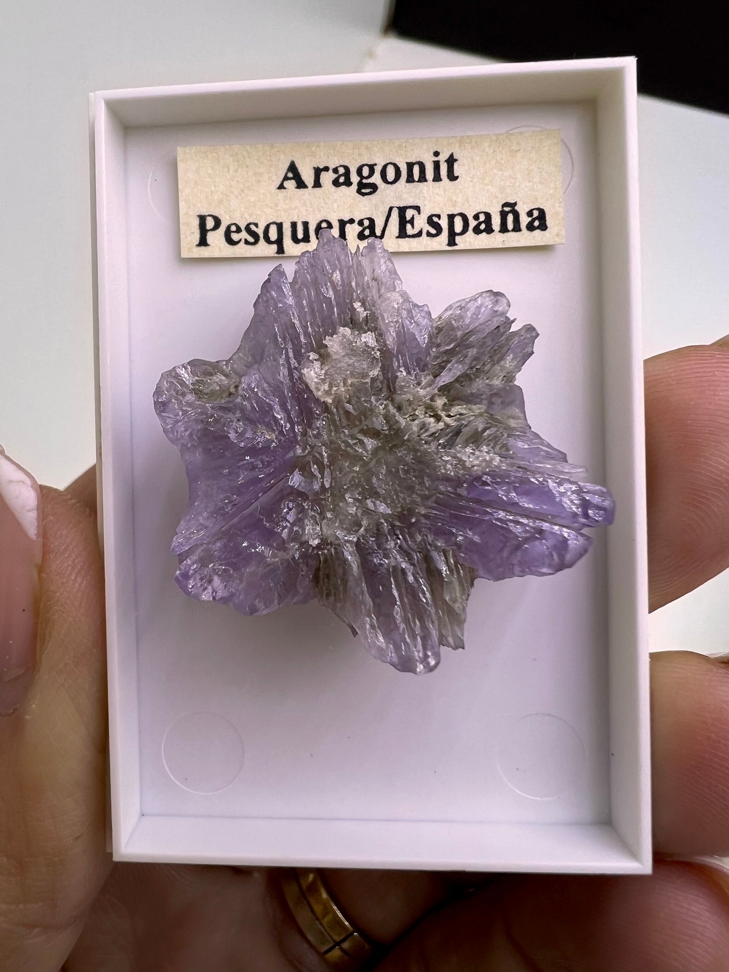 Purple Aragonit Star Lot