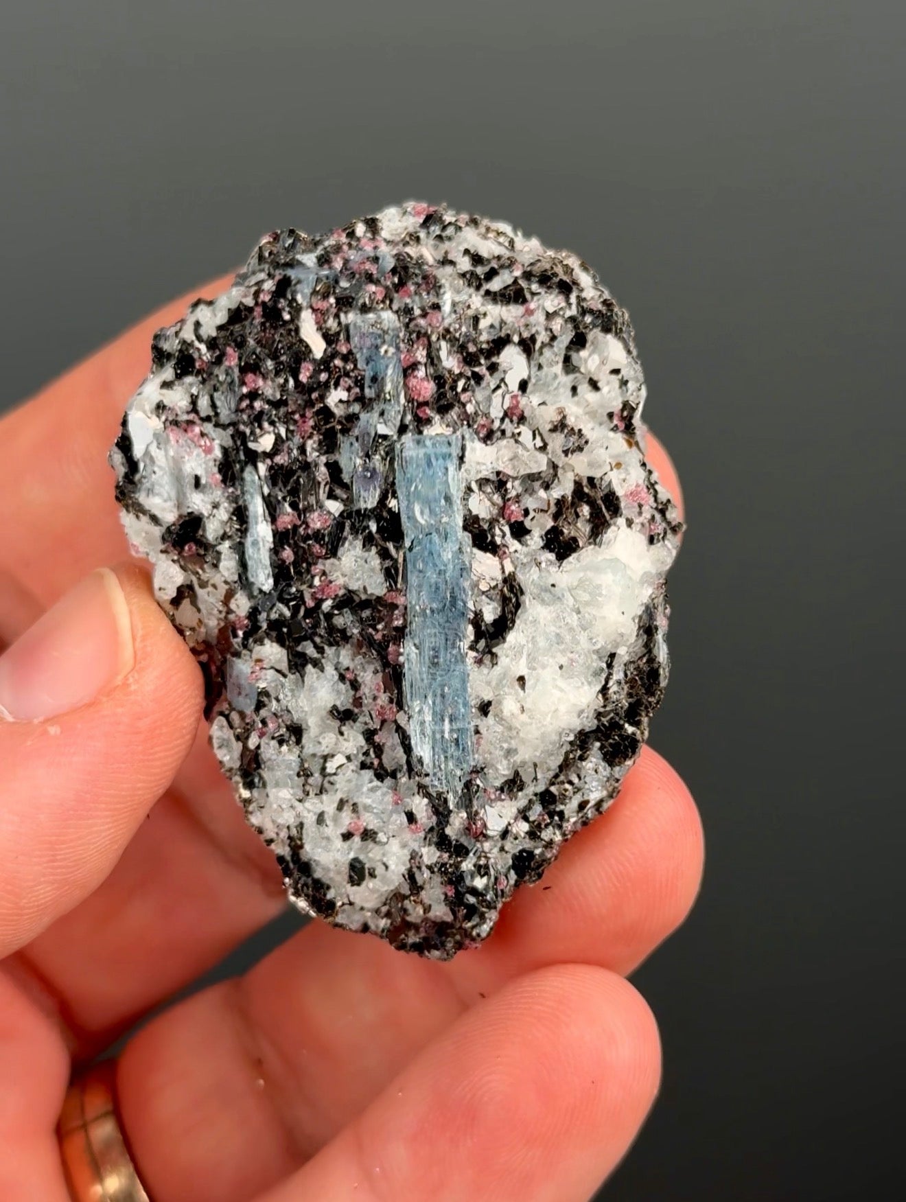 Kyanite with garnet, albite, biotite and Quartz Specimen Lot