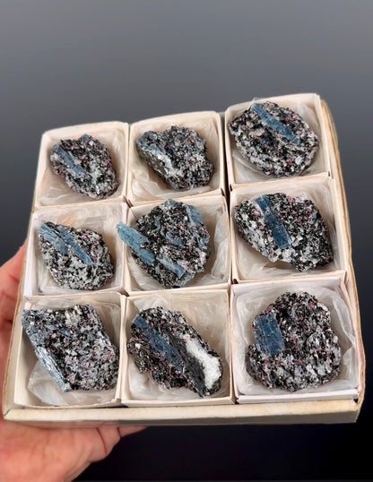 Kyanite with garnet, albite, biotite and Quartz Specimen Lot