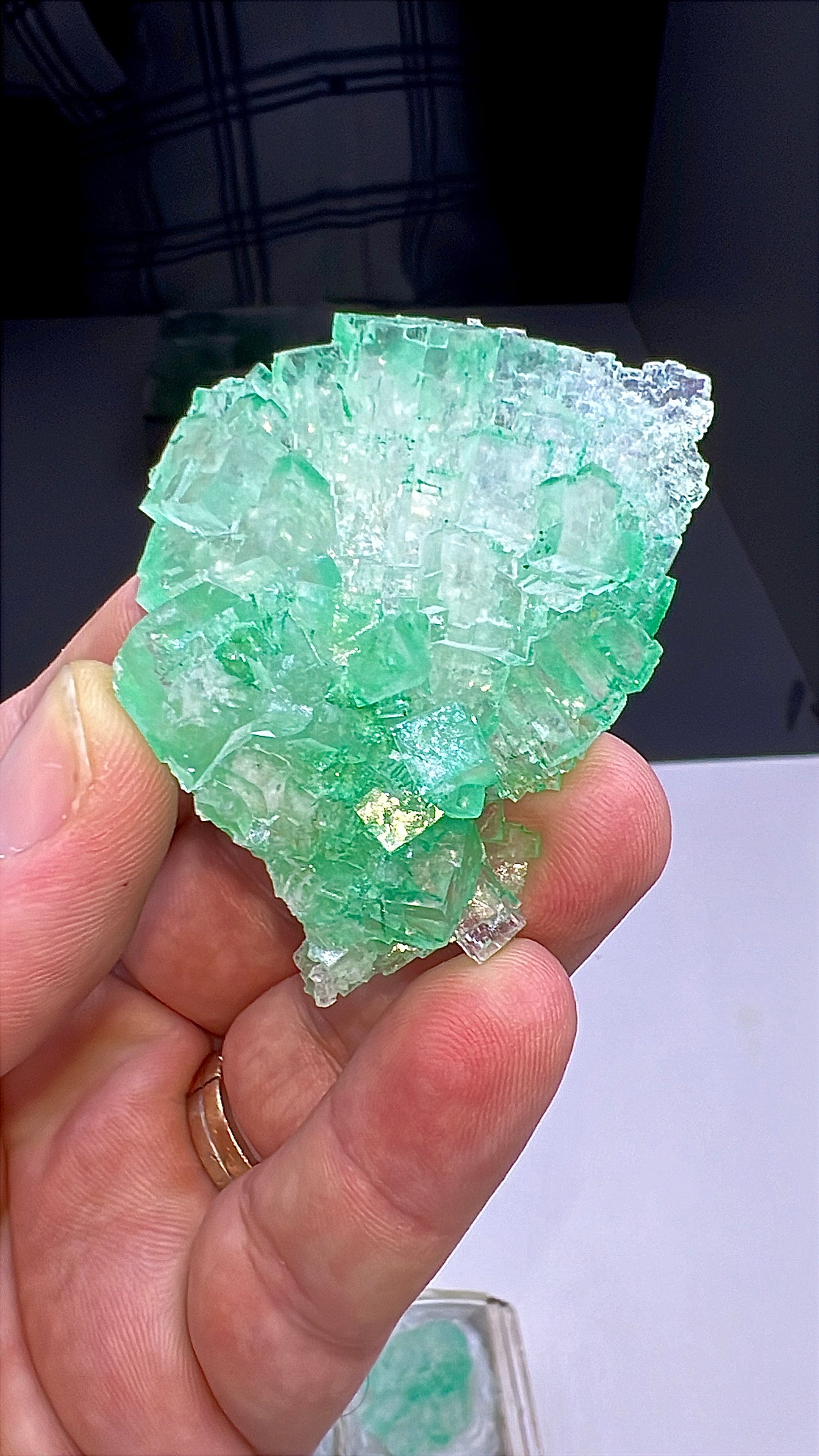 Green Halite Crystal Lot