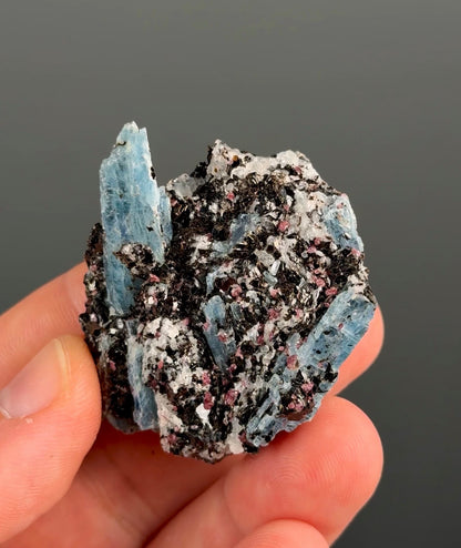 Kyanite with garnet, albite, biotite and Quartz Specimen Lot