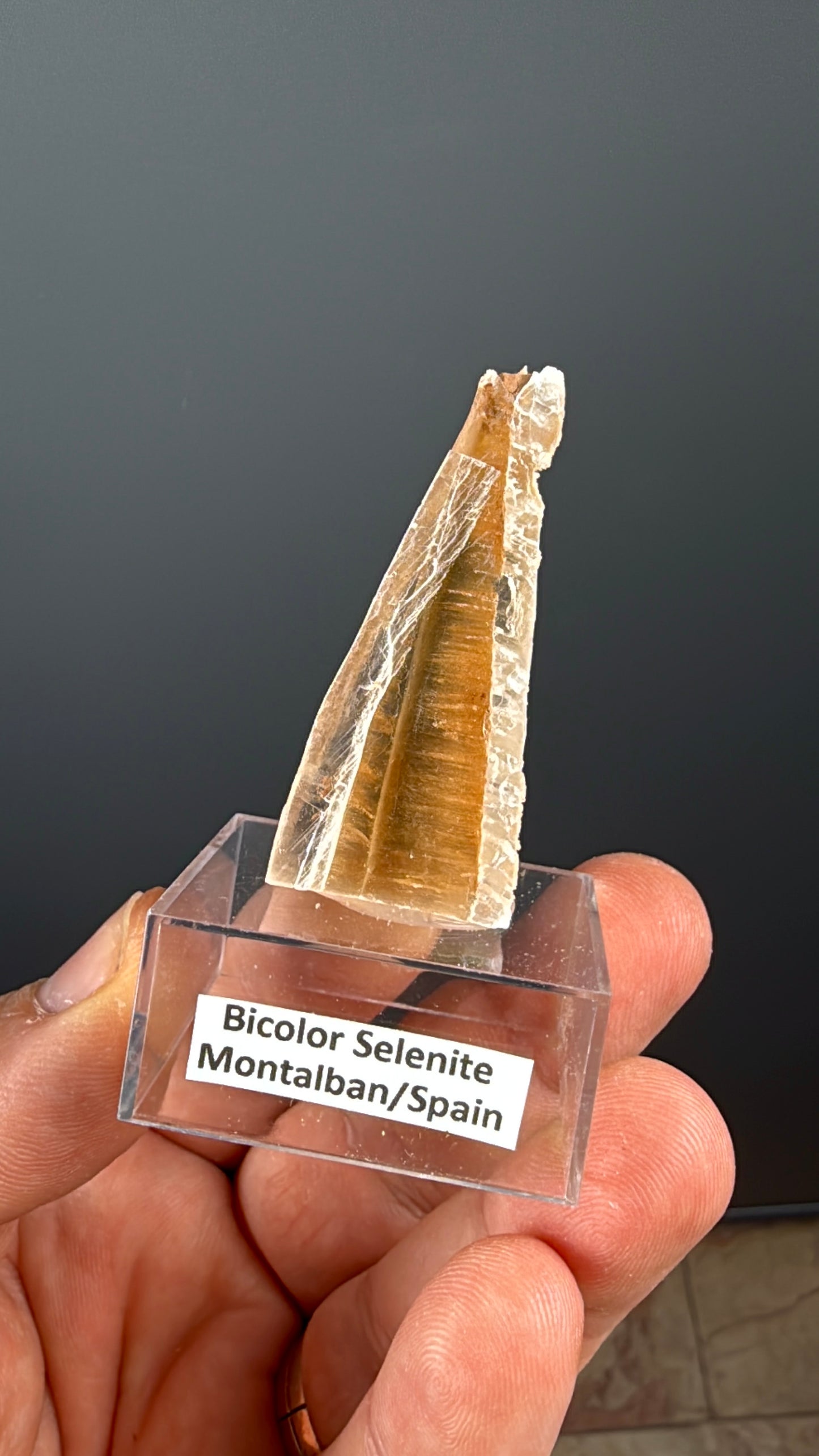 Bicolor Selenite Lot