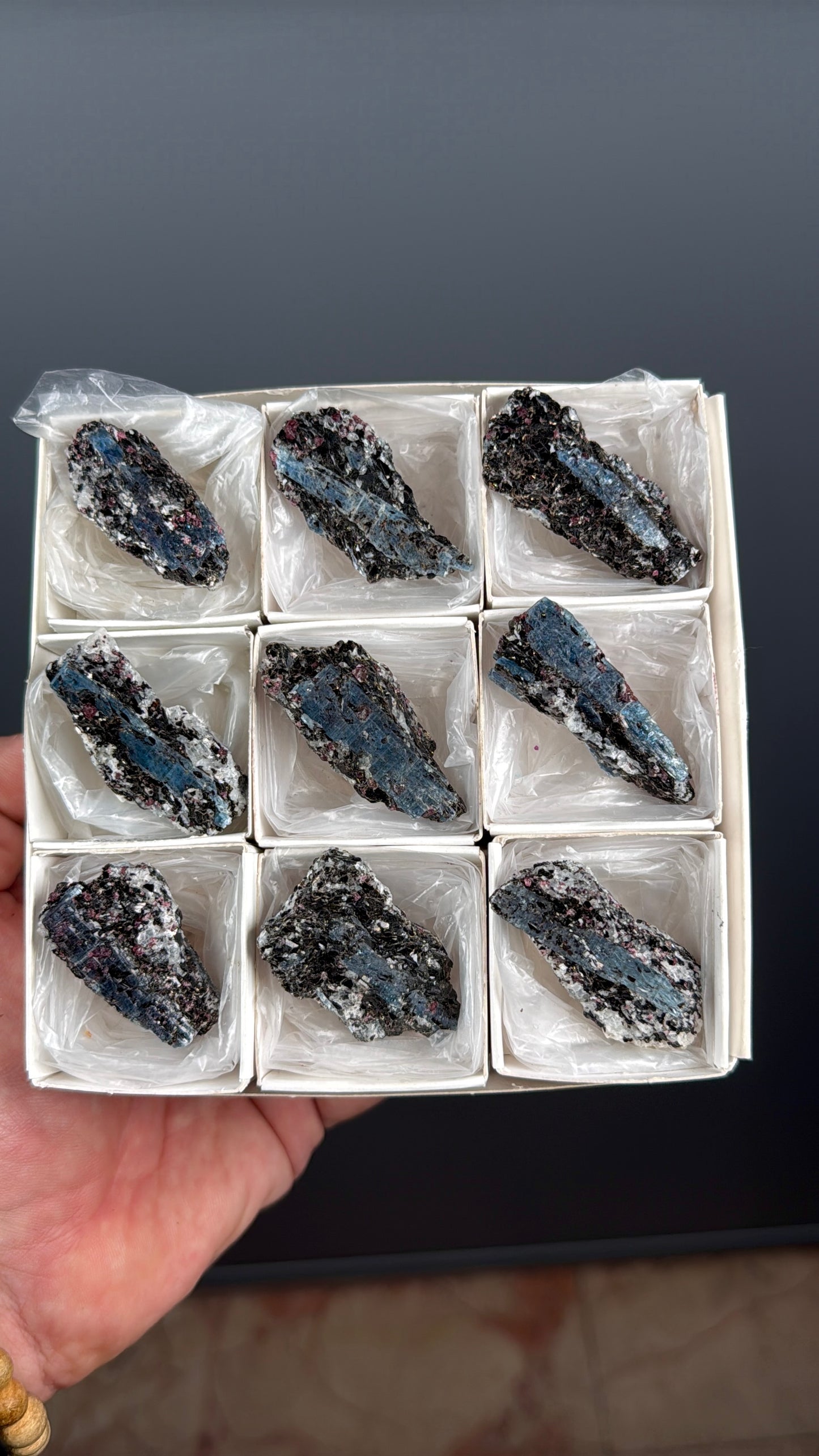 Kyanite with garnet, albite, biotite and Quartz Specimen Lot