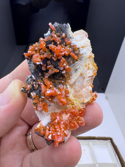 Black Barite With Red Vanadinite Crystal Lot