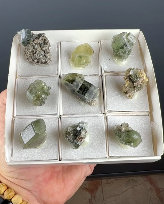 Green Apatite with Muscovite Lot