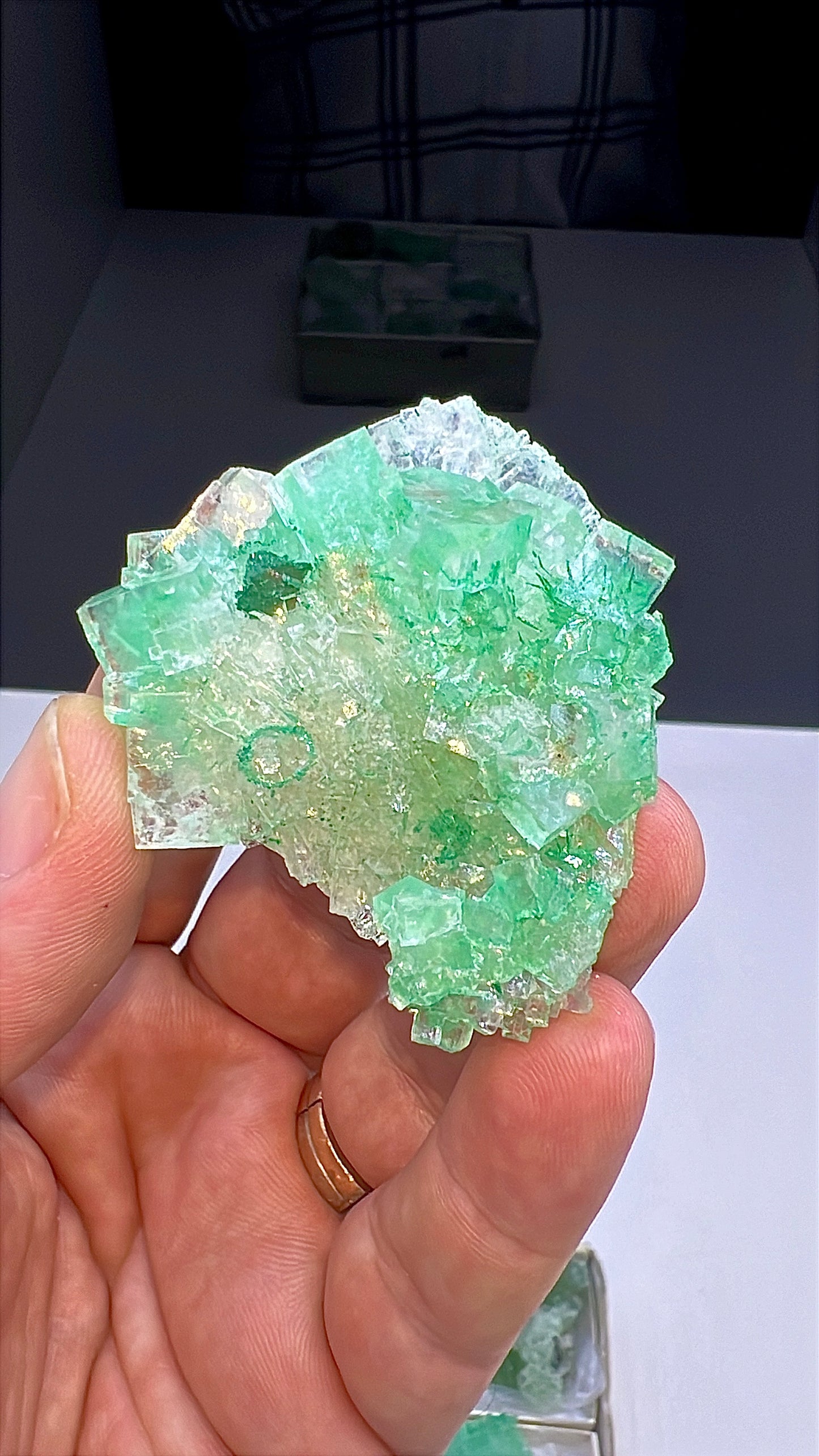 Green Halite Crystal Lot