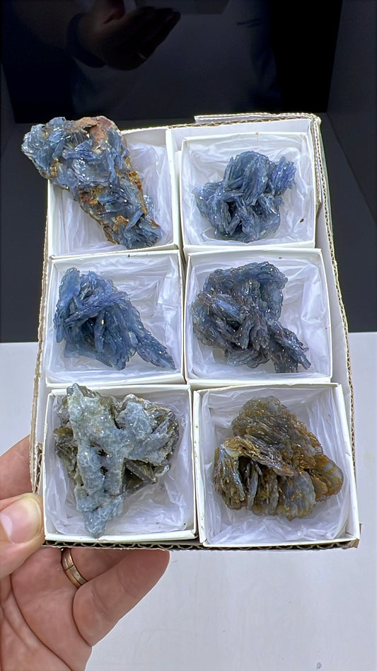 Blue Barite Specimen Lot