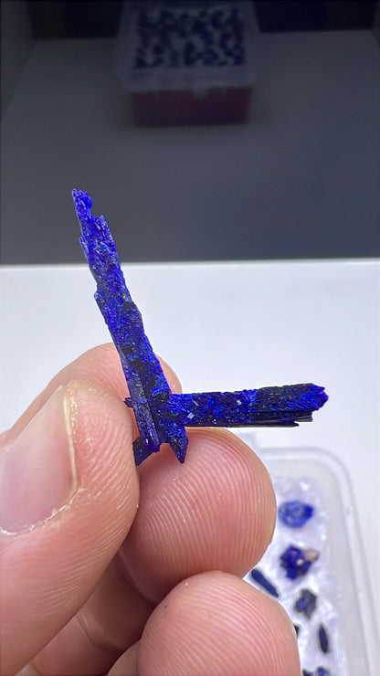 Blue Azurite Crystal  Specimen Lot 60-70 Pieces