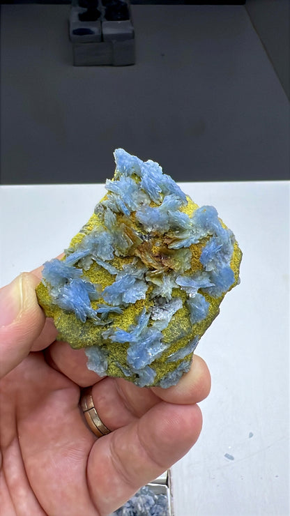 Blue Barite Specimen Lot