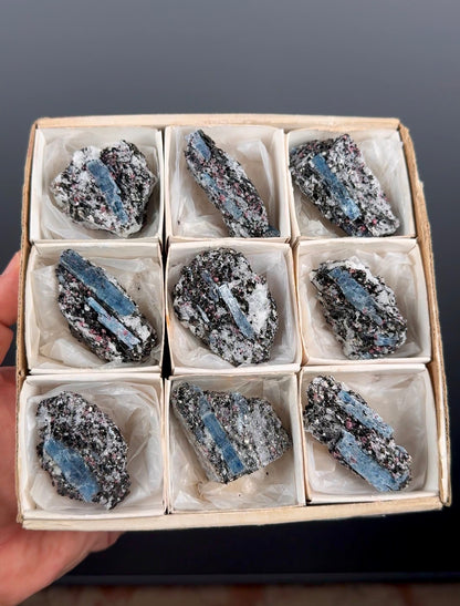 Kyanite with garnet, albite, biotite and Quartz Specimen Lot