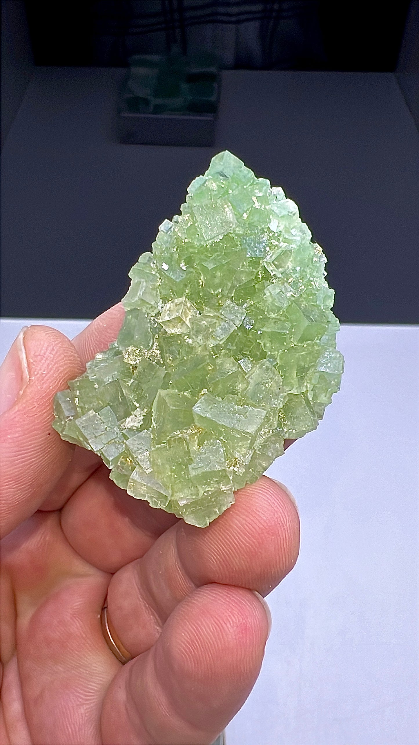 Green Halite Crystal Lot