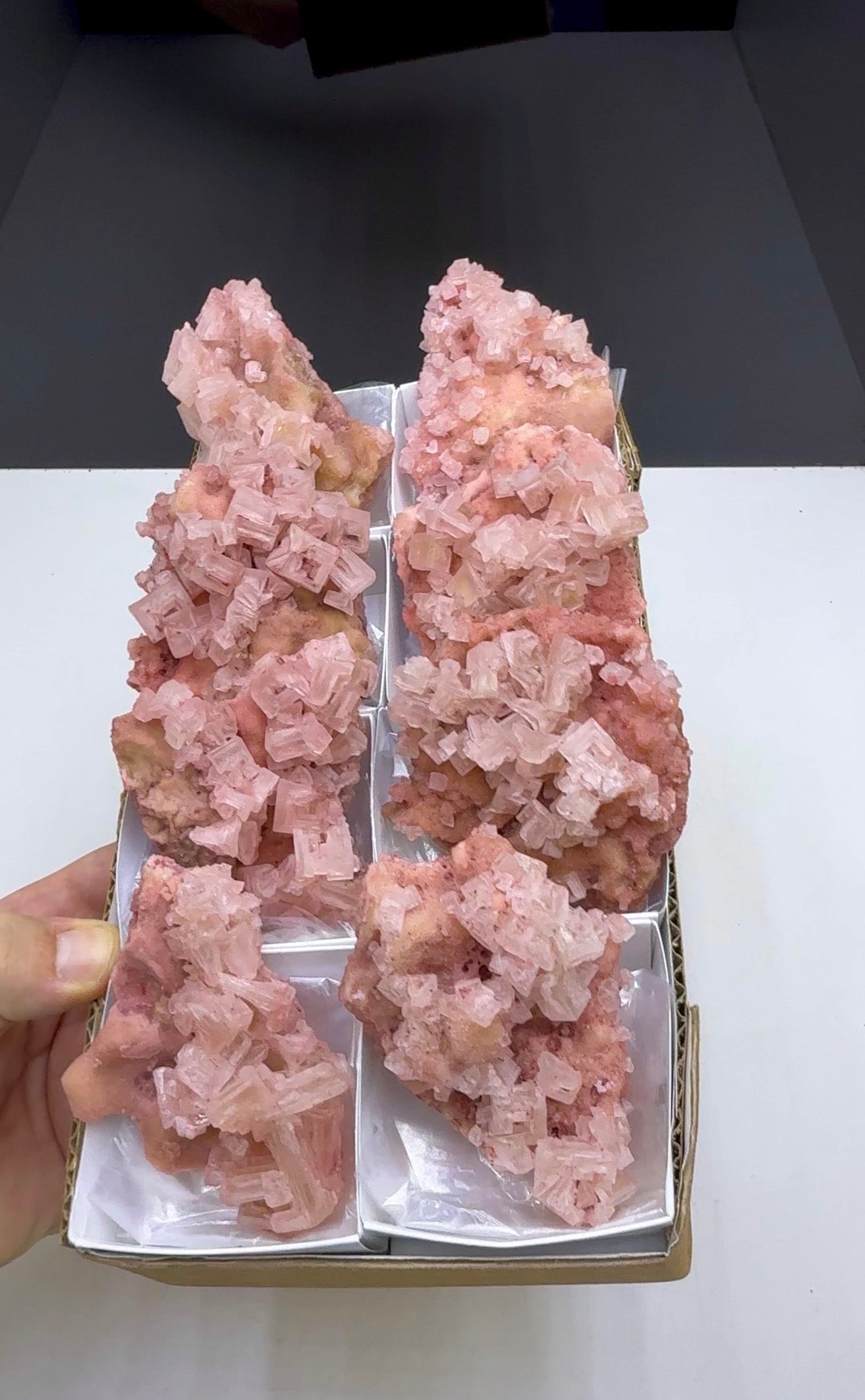 Pink Halite Crystal - 8 Pieces Lot