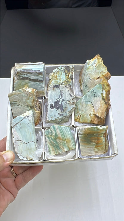 Blue Petrified Wood Lot 9 pieces