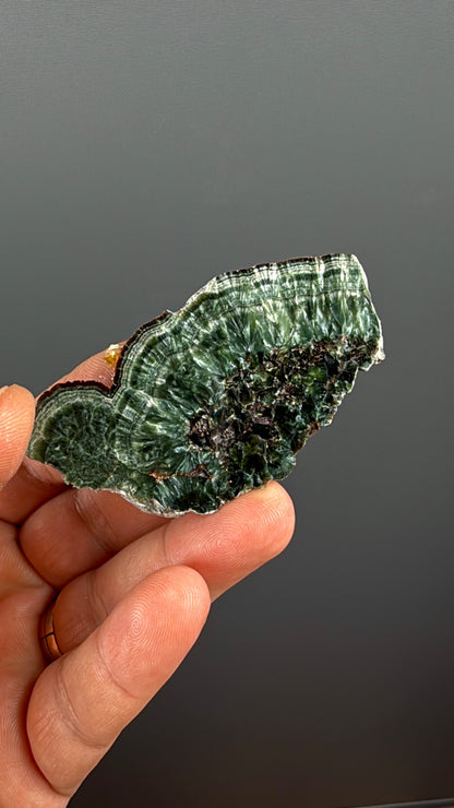 Forest Green Seraphinite Slab Lot