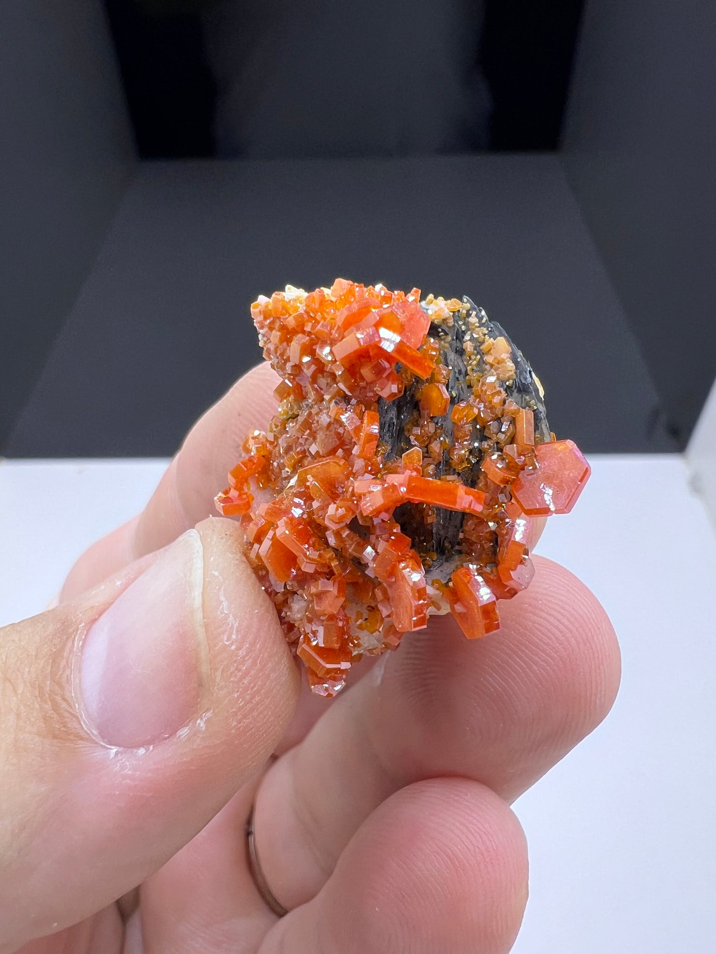 Black Barite With Red Vanadinite Crystal Lot