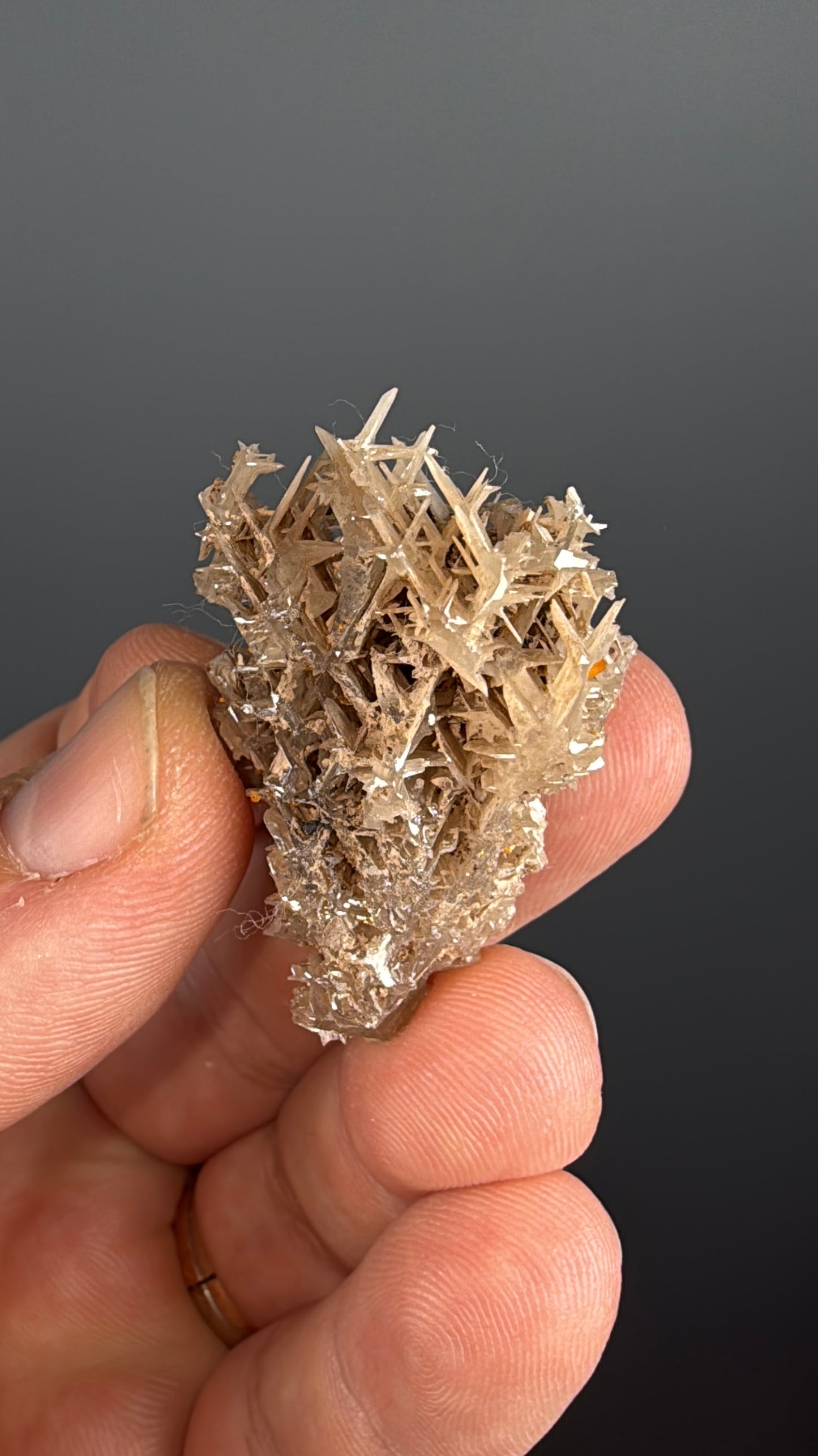 Reticulated Cerussite Specimen Lot