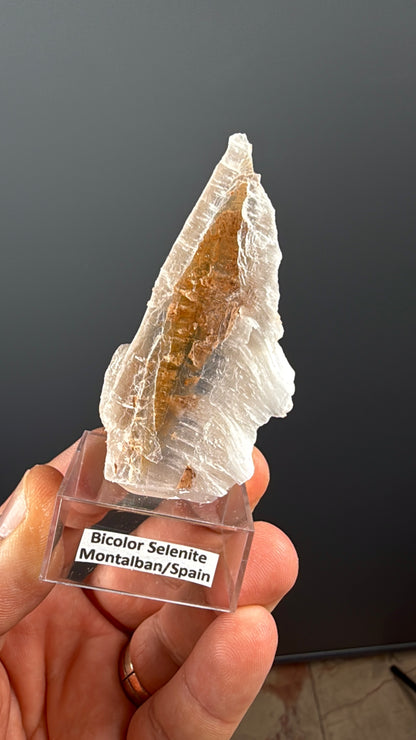 Bicolor Selenite Lot