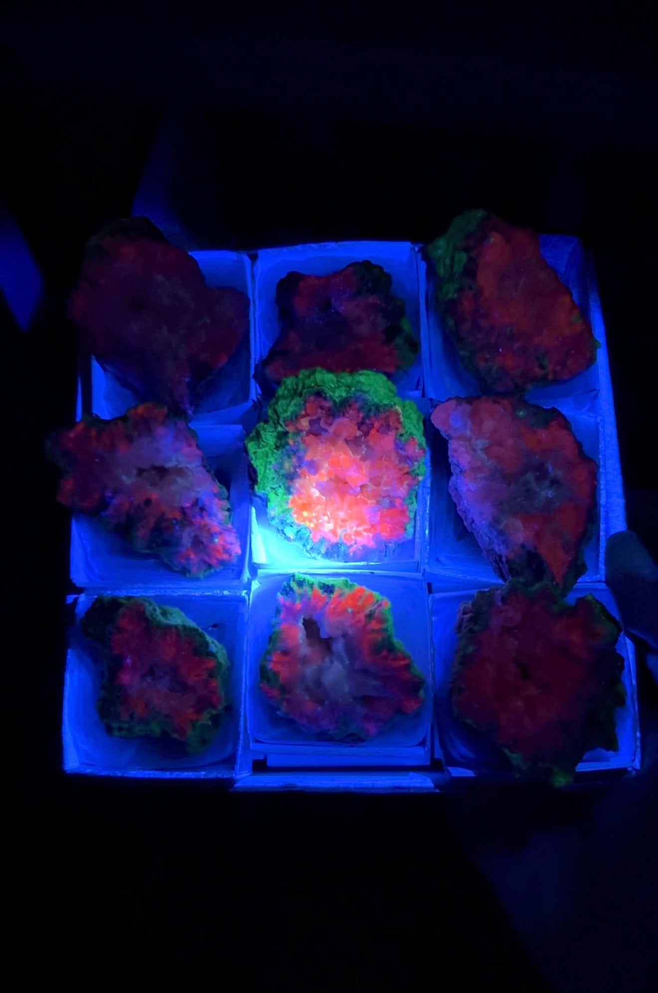 Watermelon Calcite Specimen Lot