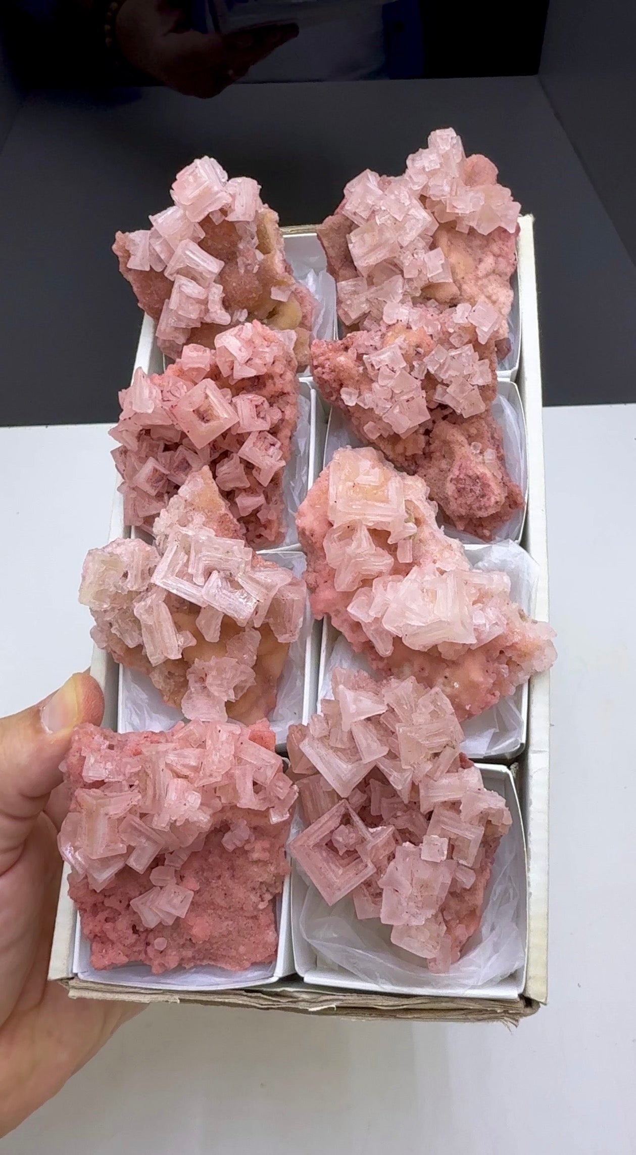 Pink Halite Crystal - 8 Pieces Lot