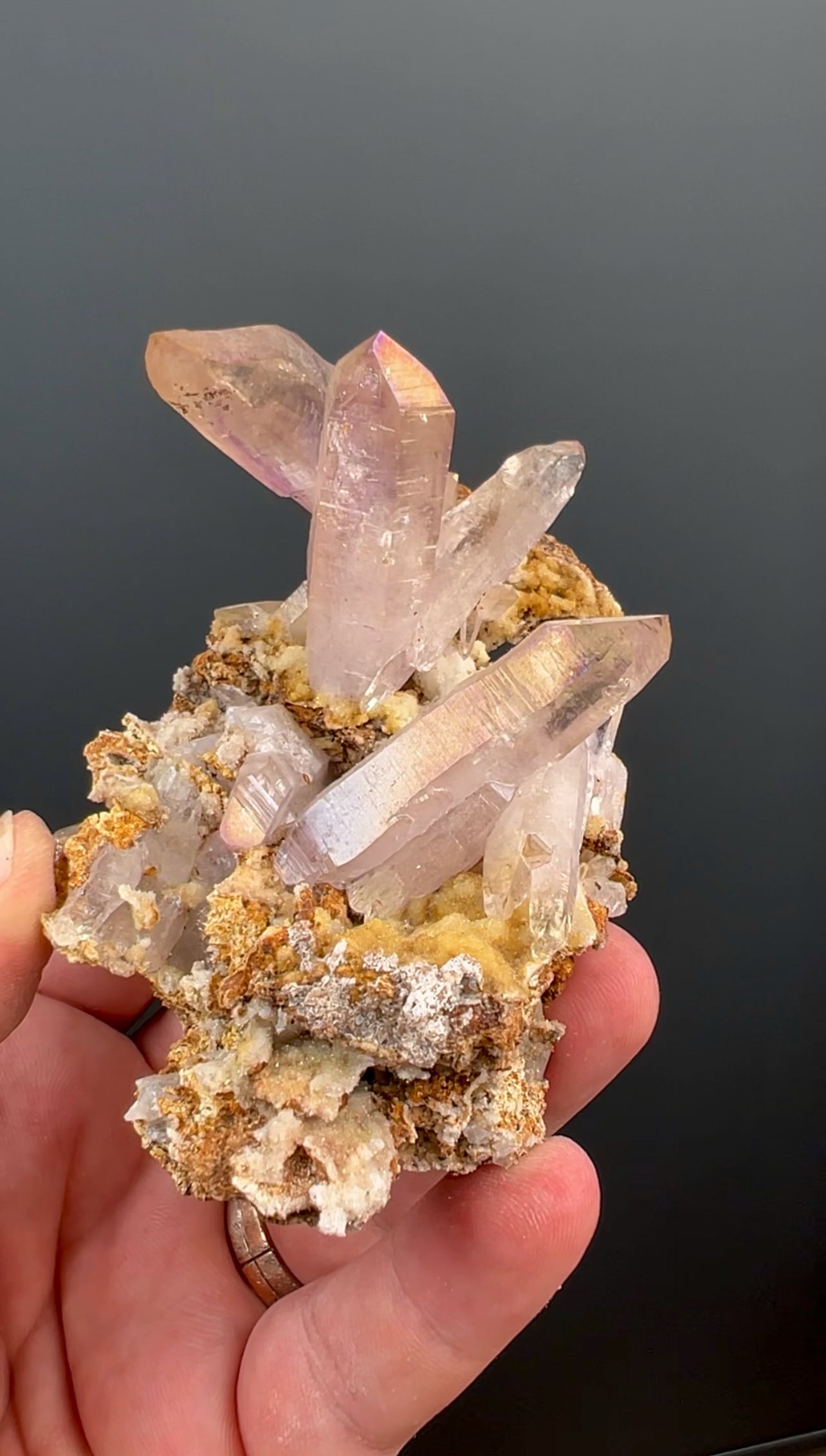 Irisdecent Vera Cruz  Amethyst Crystal Specimen