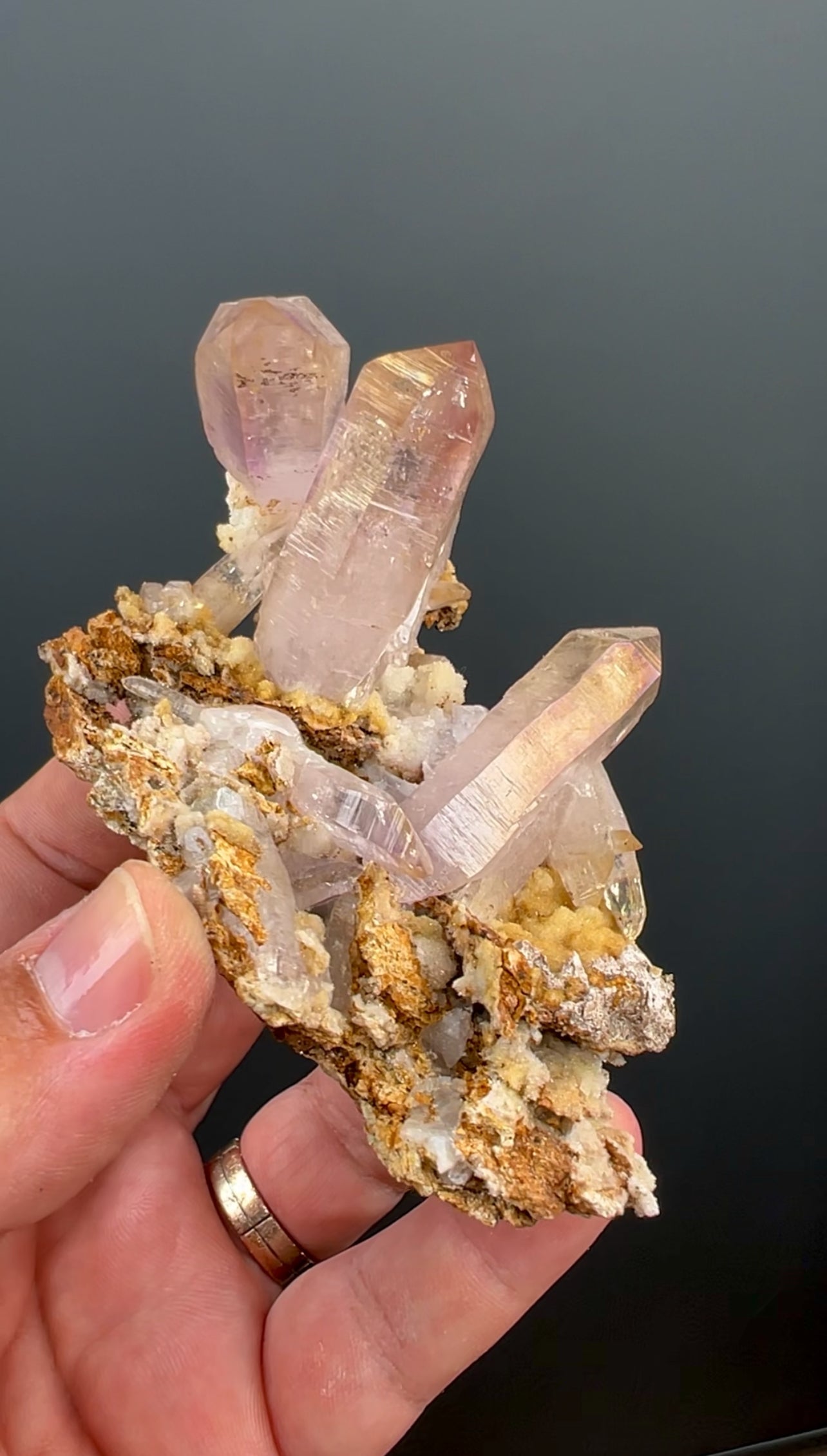 Irisdecent Vera Cruz  Amethyst Crystal Specimen