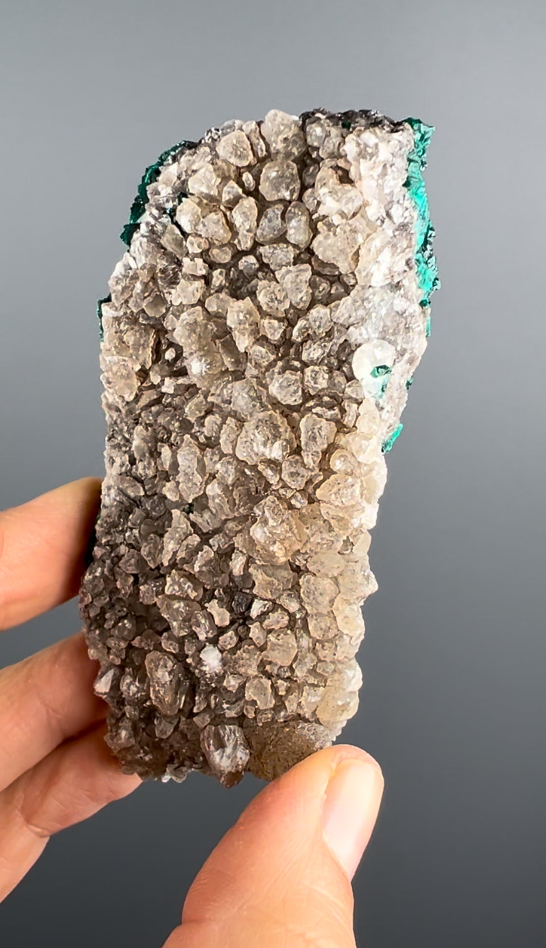 Dioptase with Quartz Mineral Specimen