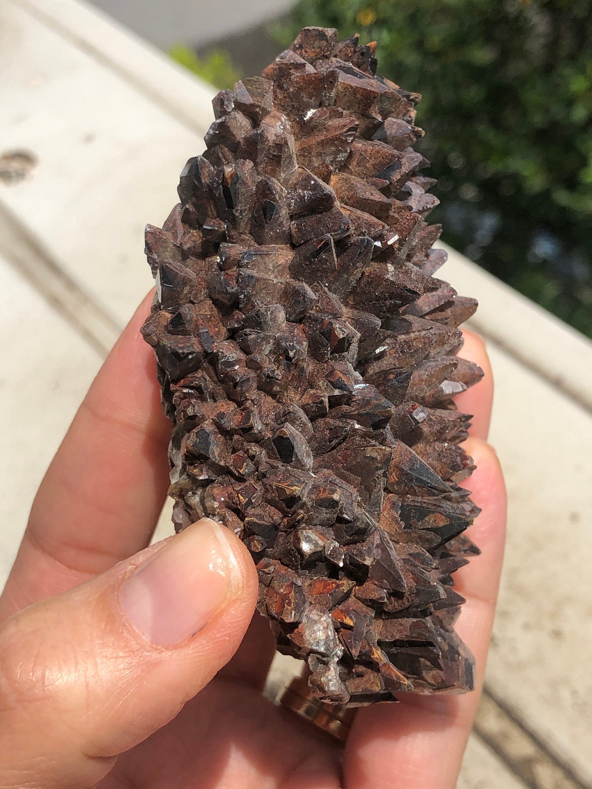 Reddish Brown Hematoid Dog Tooth Calcite Crystal Cluster from Mexico , Reddish Brown Calcite Mineral Specimen