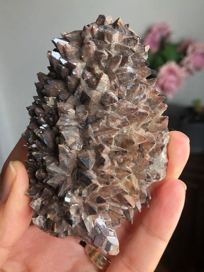 Reddish Brown Hematoid Dog Tooth Calcite Crystal Cluster from Mexico , Reddish Brown Calcite Mineral Specimen