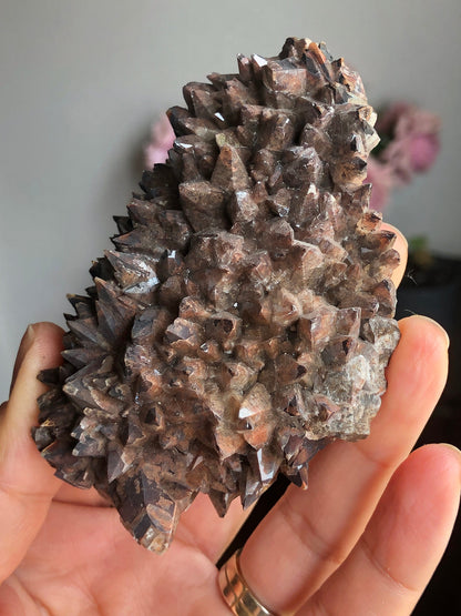 Reddish Brown Hematoid Dog Tooth Calcite Crystal Cluster from Mexico , Reddish Brown Calcite Mineral Specimen