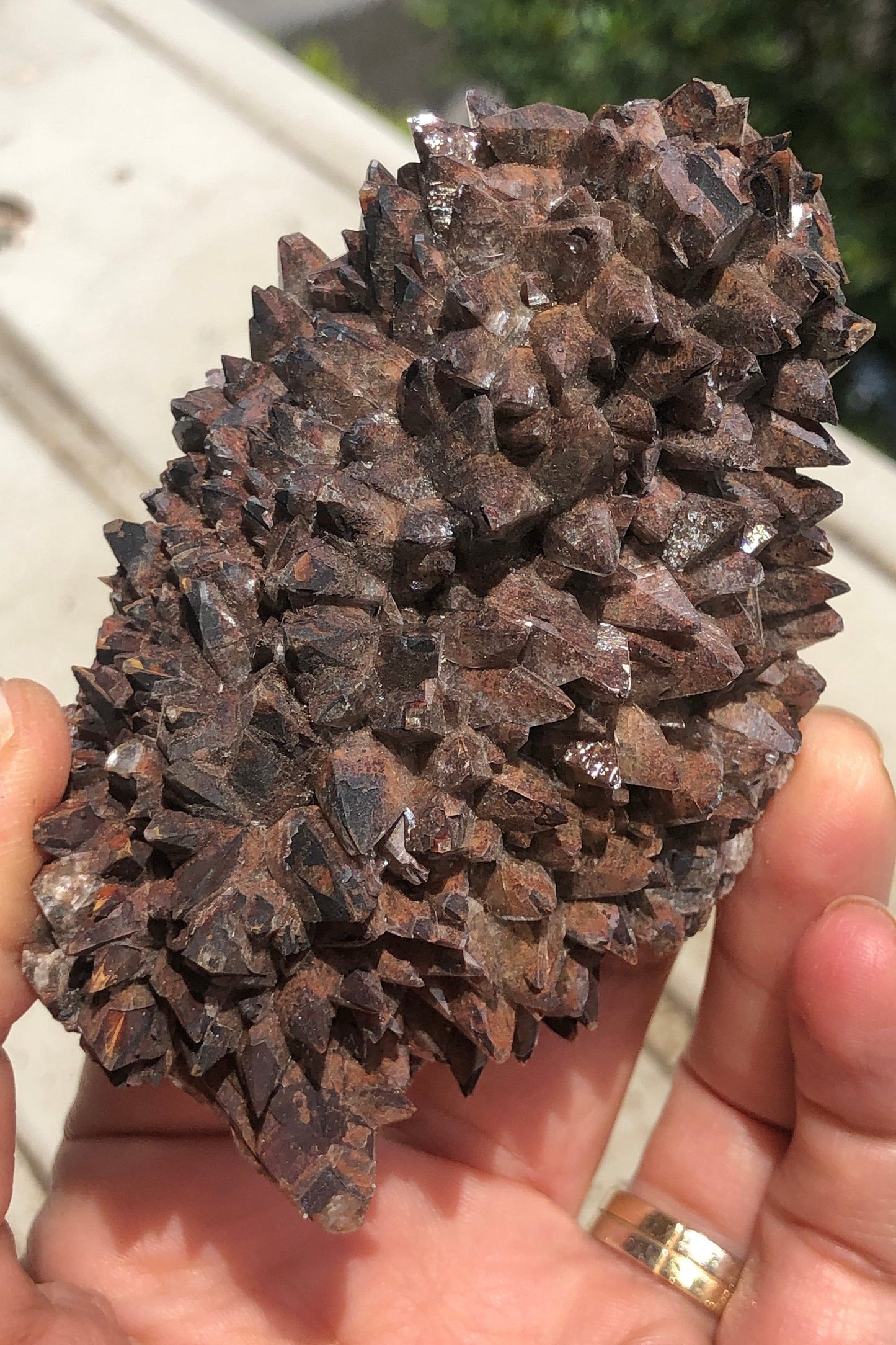 Reddish Brown Hematoid Dog Tooth Calcite Crystal Cluster from Mexico , Reddish Brown Calcite Mineral Specimen